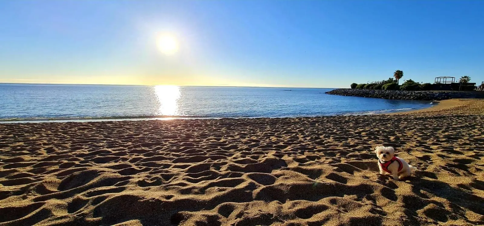 Apartamentos Magic Benalbeach By Benalnova Benalmadena Apartment